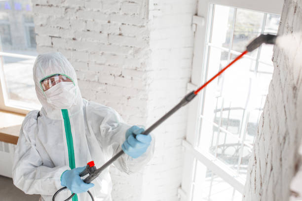 Mold Removal for HVAC Installations in Redwood, OR