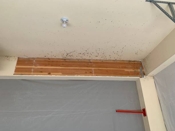 Best Indoor Air Quality Assessment  in Redwood, OR