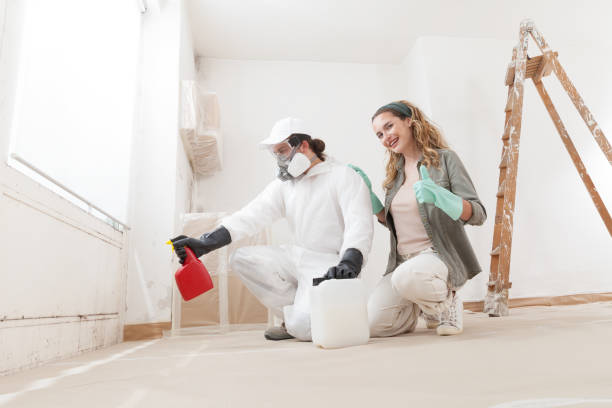 Best Asbestos and Lead Testing During Mold Inspection  in Redwood, OR